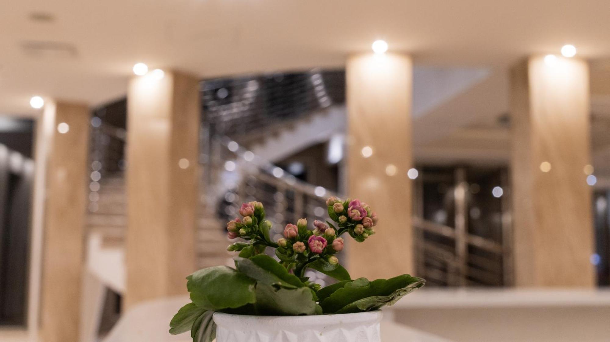 Hotel Donna Crescenza Локоротондо Экстерьер фото