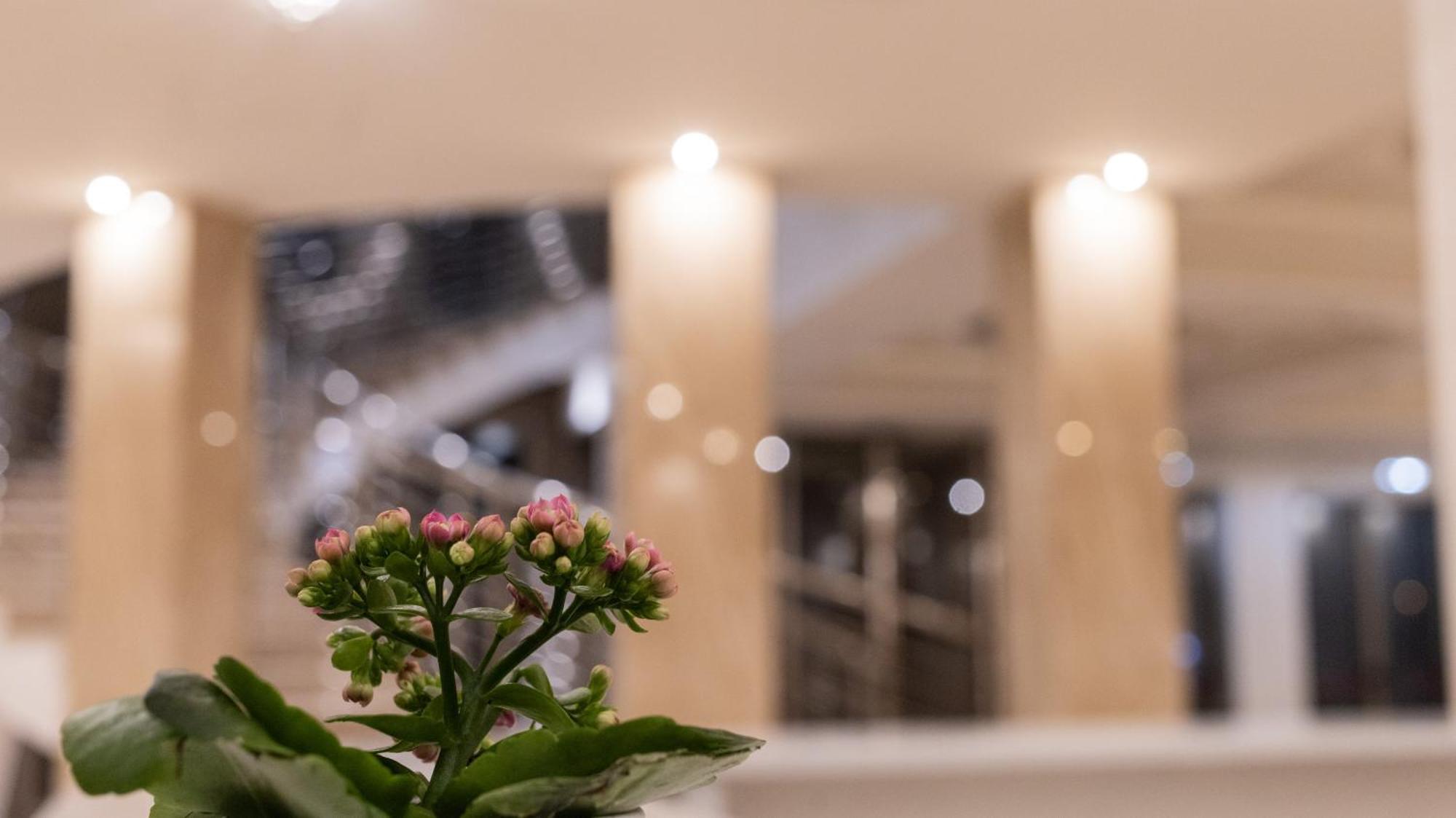 Hotel Donna Crescenza Локоротондо Экстерьер фото